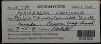 Image Associated With the Occurence